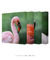 Imagem do Conjunto de Quadros Os Quatro Flamingos