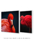 Dupla de Quadros O Vermelho das Aves