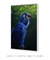 Quadro Decorativo Arara-azul I