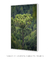 Quadro Decorativo Araucária II