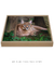 Quadro Decorativo Caracal
