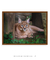 Quadro Decorativo Caracal - comprar online