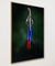 Quadro Decorativo Casuar I na internet
