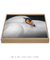 Quadro Decorativo Cisne Branco