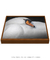 Quadro Decorativo Cisne Branco na internet
