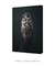 Imagem do Quadro Decorativo Coruja-lapônica