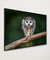Quadro Decorativo Coruja-orelhuda na internet