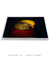 Imagem do Quadro Decorativo Faisão-dourado