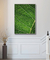 Quadro Decorativo Ficus - loja online
