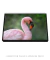 Quadro Decorativo Flamingo-pequeno - Diego Grandi Foto e Arte - Quadros Decorativos