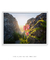 Quadro Decorativo Flores da Montanha - Diego Grandi Foto e Arte - Quadros Decorativos