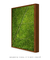 Quadro Decorativo Louro I na internet