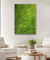 Quadro Decorativo Louro I - Diego Grandi Foto e Arte - Quadros Decorativos