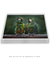 Quadro Decorativo Maracanãs molhados - loja online