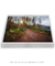 Quadro Decorativo O Caminho VII - loja online