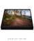 Quadro Decorativo O Caminho VII - loja online