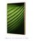 Quadro Decorativo Palmeira-leque I - comprar online