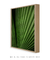 Quadro Decorativo Palmeira-leque II