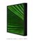 Quadro Decorativo Palmeira-leque III - loja online