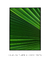Quadro Decorativo Palmeira-leque III - loja online