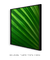 Quadro Decorativo Palmeira-leque V - comprar online