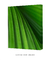 Quadro Decorativo Palmeira-leque VI - comprar online