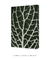 Imagem do Quadro Decorativo Planta Mosaico I