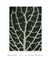 Quadro Decorativo Planta Mosaico I - loja online