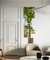 Quadros Decorativos A Árvore da Erva-Mate - Políptico