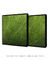 Quadros Decorativos Folha de Louro - Díptico - comprar online