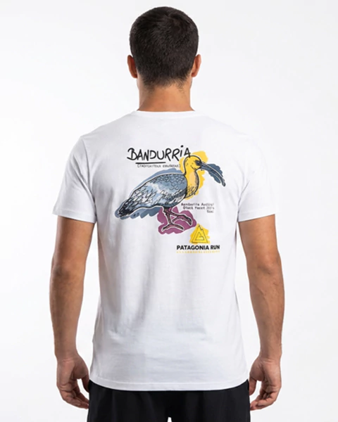 EDICION LIMITADA REMERA BANDURRIA