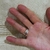 Anillo Miranda 3 anillos - comprar online