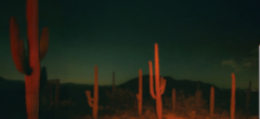 Banner de la categoría Tops