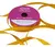 Cintas Raso N° 1 X 10 Mts en internet