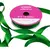 Cinta Raso N° 3 X 10 Mts - tienda online