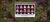 Imagem do Cv16 [1Paisagem] [18Skins] [DescontoLoja] (+68)