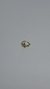Piercing Fake Estrela