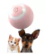 PELOTA INTERACTIVA PARA GATOS Y PERROS