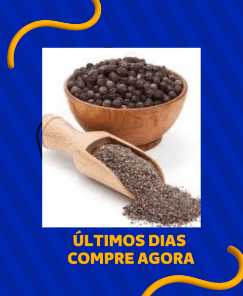 Carrossel 1