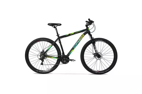 BICICLETA TOPMEGA REGAL R29 21V - comprar online