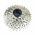 PIÑON 8 CORONA 11-32T A CASSETTE CROMADO