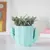 Cactus de cerámica multiuso - USALOS PARA LO QUE QUIERAS!