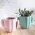 Cactus de cerámica multiuso - USALOS PARA LO QUE QUIERAS! - comprar online