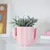 Cactus de cerámica multiuso - USALOS PARA LO QUE QUIERAS! en internet