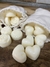 Bolsitas de bombones aromáticos x15 unidades