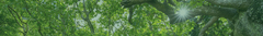 Banner da categoria Ansiedade, Estresse e Pressão Interna