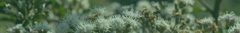 Banner da categoria Prosperidade e Desapego Material