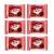 6un Barras de Chocolate Pop Kiss ao Leite (6x60gr)-Florestal