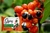 Kit c/ 8 un Sabonetes Energia da Amazonia 80gr - Gipsy (90995) - Vapty Vupty