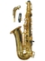 Saxofone Alto Corpo e Chaves Dourado c/ Estojo ZAS-600L - Zellmer (1214) na internet